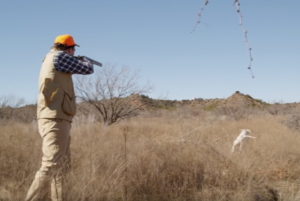 texas bird hunting